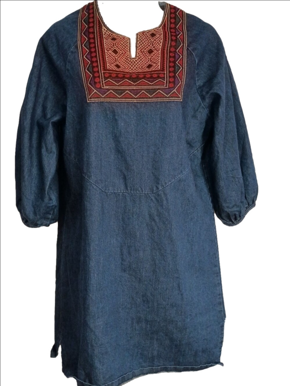 Embroidered Denim Mini Dress